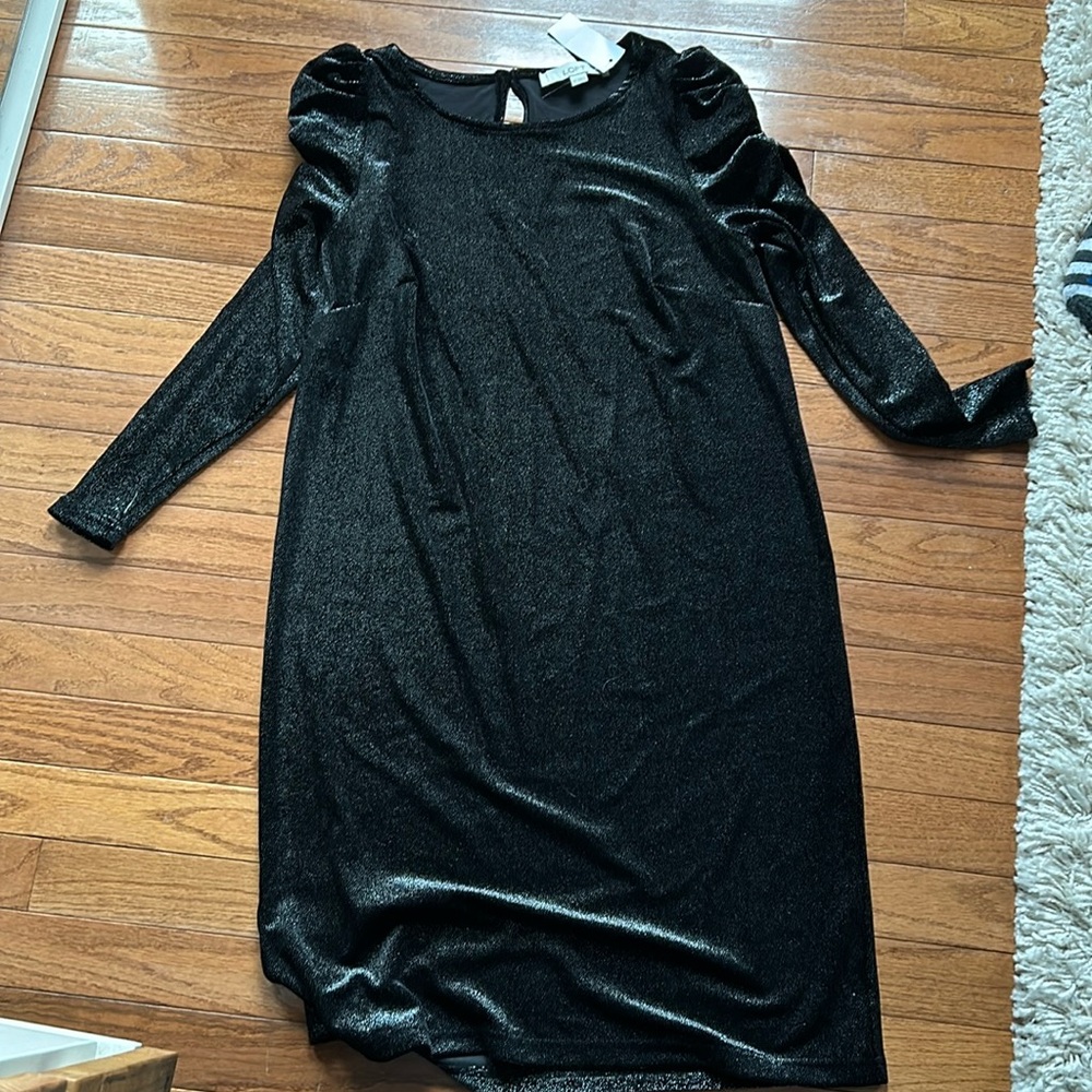 Brand New Loft Dress